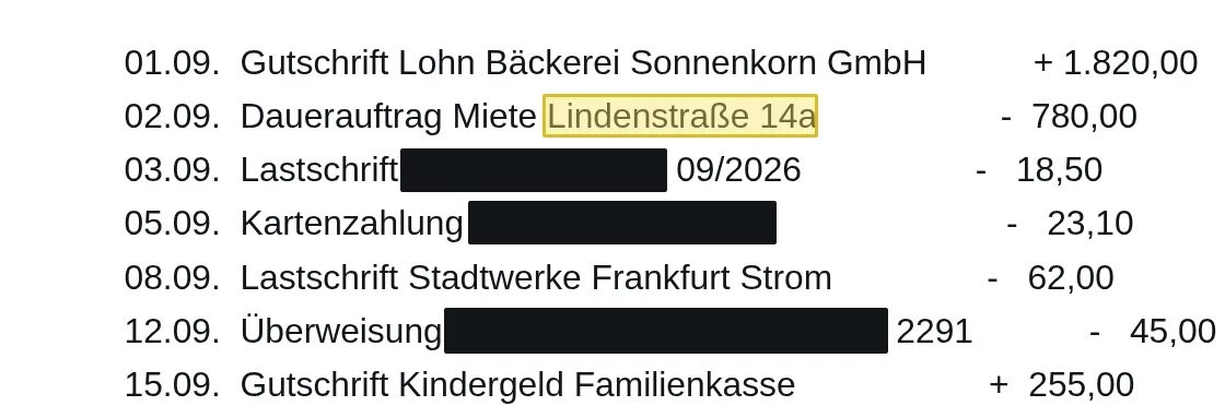 Kontoauszug im Werkzeug: Gewerkschaftsbeitrag, Apotheke und Arztpraxis sind als Empfänger geschwärzt, Beträge und Einnahmen bleiben lesbar